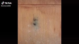 Thớt inox SUS304 cao cấp - kháng khuẩn khử mùi chống nấm mốc cường lực - gia công tinh xảo - thớt inox 304