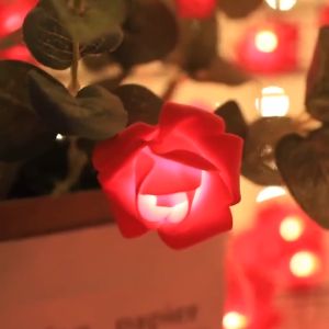 3m LED Rose flower lamp USB Christmas lights decoration String lights Fairy lamp Bedroom/Gifts/Party