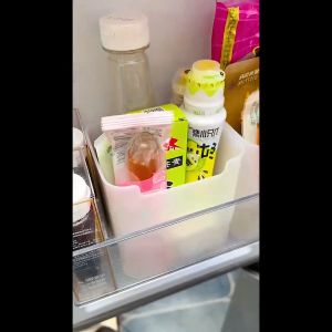 Refrigerator side door storage box portable multi-functional classification Vegetable Fruit snacks Egg Frozen Organizer