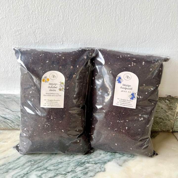 Bangkok Botanics วัสดุปลูกสำหรับต้นโอลีฟ เลมอน บลูเบอร์รี่