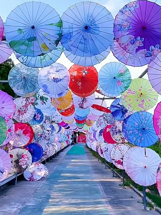 Ô Dù Cổ Trang hoạ tiết Đẹp nhiều mẫu, Ô Múa biểu diễn, Đạo Cụ Chụp Ảnh ...