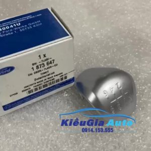 Ốp tay nắm cần số Ford Ranger 2016-2021 DB3R7L468ED Chính hãng