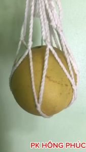 Túi lưới đựng dưa đựng quả túi lưới đỡ dưa lưới( võng dưa)