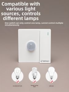 TEP | Voice and Light Control Smart Delay Sensor 220V