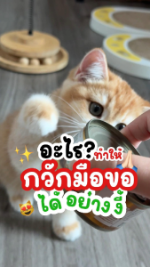 🐟 เหมียวไฟน์ Meow Fine ซุปปลาสกัดเข้มข้น เสริมด้วย L-Lysine 500 mg.