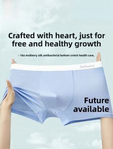 MiiOW | Teenage Boys Ice Silk Modal Briefs Antibacterial Flat Angle Underwear Comfortable Soft Fabric For Growing Teens And Young Adults