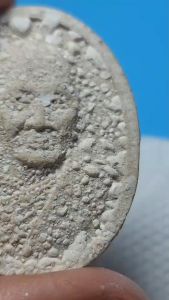 พระผงรูปเหมือน หลวงพ่อเปิ่น วัดบางพระ จังหวัดนครปฐม สร้างปี 2537 รุ่นพุทธคุณ