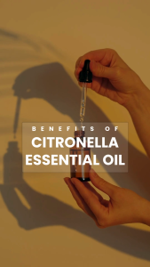 CitraPure Citronella Pure Essential Oil