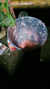 Esen Galatama Lele Blenok dan Irex