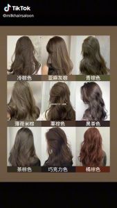 Dark Ash Brown Saloon Professional Hair Color Dye Cream HAIR COLOR DYE CREAM PEWARNA RAMBUT permanent dye Muslim friendly Dark Ash blonde dye hair colour set 200ml(6/11 100ML FREE peroxide 100ml)