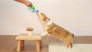 Dog Bite Toy Squeak Toys Quality Fabrics Corduroy Rubber Teeth Whitening Animal Shape Resistant Bite