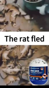1000x Stronger Rat Repellent: Safe & Non-Toxic Solutions
