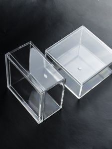 Pure Color Square Plastic Transparent Box Food Grade Sealed Hard Plastic Candy Chocolate Packaging Small Gift Box
