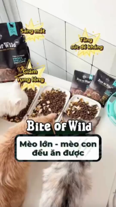 [1kg] Hạt Mèo Bite Of Wild P42 Không Chứa Ngũ Cốc Mix Thịt Sấy Cá Hồi Bò Cho Mèo Mọi Lứa Tuổi
