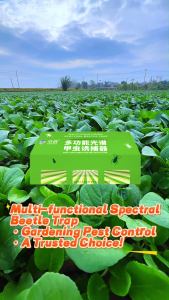 1 Set KongXiao Multi-Functional Spectrum Beetle Trap Kit (Bait + Sticky Board) - Effective for Indoor/Outdoor Captures Various Beetle Species