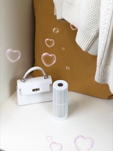 SG-Stock Hysure Mini Dehumidifier Portable Mould Moisture Removal Auto Color-change Household Cycle 300+ Camera Desiccan