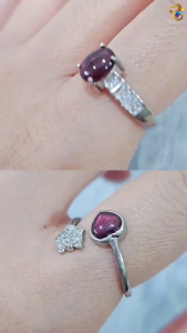 Collection Grade Purple Garnet Titanium Adjustable Rings (2 Designs)