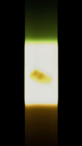 Adiero Sepatu Pantofel Wanita Paskibra Fantofel Cewek Slop sepatu sekolah hitam