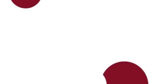 USB Rechargeable Arc Lighter – Windproof & Adjustable Fire Starter for Kitchen BBQ & Camping