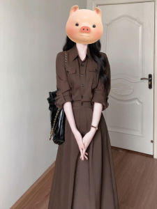 French Vintage Long Sleeve Shirt Dress Women Early Autumn 2025 New High Waist Slimming Long Dress Elegant Quality Ge·an·fei