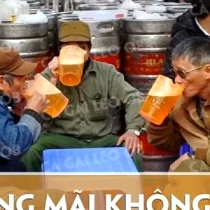 Trà Cà gai leo Thái Hưng - Bịch 100 túi lọc 5g (New)  - Mát gan giải độc rượi bia hạ men gan giảm mỡ trong gan