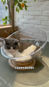 รังแมวสำหรับแคปซูล บ้านแมว ของเล่นแมว ที่นอนอวกาศ แผ่นเสียงไม้เนื้อแข็งอะคริลิค ของเล่นหมุน Cat Scratcher 4 in 1 พื้นที่ขนาดใหญ่ 42 ซม.