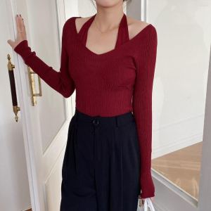 2021 Mới Nữ Ôm Vừa Vặn Dệt Kim Cổ Chữ V Dài Tay Mới Áo  Áo Hai Dây Phong Cách Hàn Quốc Áo Sơ Mi Cơ Bản Đầu Tiên Mùa Thu Áo Sơ Mi Nhỏ