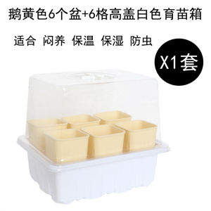 Simple Design Plastic Flower Pots for Indoor Gardening Succulent Planting Seedling Cultivation Desktop Balcony Flower Pots