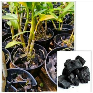 Arang aktif media tanam anggrek kemasan 1kg +2pcs pupuk guano bantal