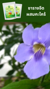 ชารางจืดผสมตะไคร้ ชาสมุนไพร ตราไร่กฤติยา สูตร 10