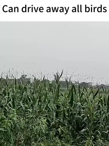No birds within1000 meters Solar Energy bird repellent outdoor Ultrasonic ip65 level waterproof penghalau burung merpati 1S drive away all birds Bird Repellent pigeons repellent crow repellent
