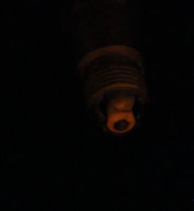 PROMO Super Sale Busi Brisk Premium LOR12LGS Kawasaki Yamaha KR150 DT125 KTM SX 250 Original