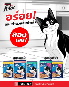 Felix อาหารเปียกแมว ทุกรส 85g. 1กล่อง (24ซอง)