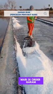 Garam Garem Ikan 500gr Kristal Grade A Premium Mencegah Penyakit Ikan Kolam Aquarium