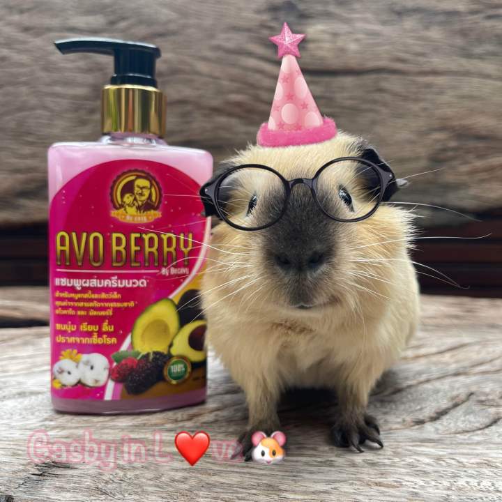 AVO BERRY (อโวเบอรี่) 🥑🥥🫐🍃🐹 แชมพูผสมครีมนวด สำหรับสัตว์เลี้ยงขนาดเล็ก ...