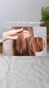 EVAS PEDISON Institut-beauté Protein Hair Treatment 2000ml - Propolis | Smooth & Repair Damaged Hair