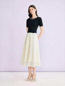 Elegant Beaded Round Neck Lace A-Line Waist Cinching Dress