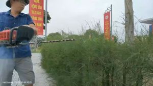 Máy cắt tỉa cành đa năng chính hãng 2025