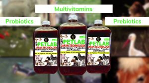 PetLab Japan Technology: Probiotics & Prebiotics Plus Multivitamins for All Types of Pets & Animals