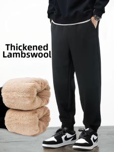 Fleece Lined Thickened Jogger Pants