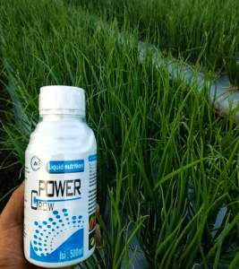 power grow 500ml untuk semua jenis tanaman