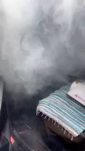 CITRONELLA FOGGING Solution Disinfectant Mosquito Repellent - Kills 99.9% of Virus & Bacteria