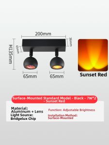 WEIXIANG | Smart Adjustable Dual-head Atmosphere Corridor Downlight with Dawn to Dusk Glow