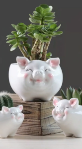 Chậu Trồng Cây Sen Đá Xương Rồng Cây Mini Hình Heo Có Lỗ Thoát Nước Trang Trí Để Bàn văn phòng