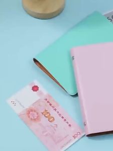 A6 PU Money Organizer Large-capacity 100 Envelopes Cash Savings Book Reusable Budget Binder Collect banknotes Money Storage Organizer Money-saving Plan Book