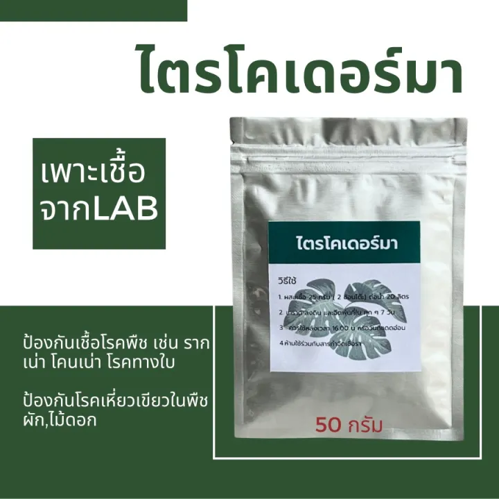 ไตรโคเดอร์มา เชื้อรากำจัดโรคพืช