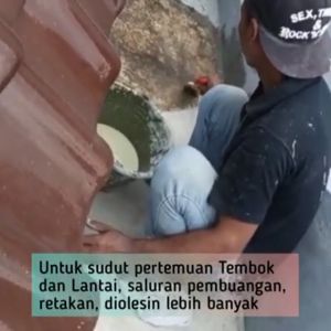 Cat Pelapis Dak Anti Bocor / Cat Dak Beton / Cat Dasar Tembok Demp-X DEMPX Basecoat Base Coat 400g Cat Dasar Extreme Anti Rembes Anti Jamur Anti Bocor