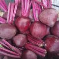 Buah Bit/Beet Root Fresh 1kg. 