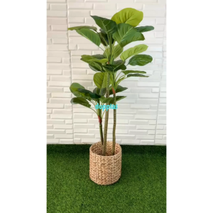 Pohon Hias Tanaman Artificial Apel T100 Latex Cover Pot Eceng Gondok Pajangan Sudut Ruang Tamu Aesthetic