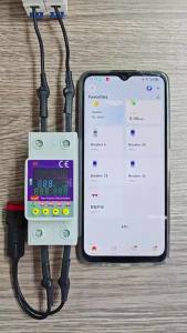 Cầu Dao Thông Minh WiFi Tuya 220V 2P 63A Điều Khiển Từ Xa Với Chức Năng Bảo Vệ Quá Áp/thiếu Áp/quá Tải/rò Rỉ Của RMshebei